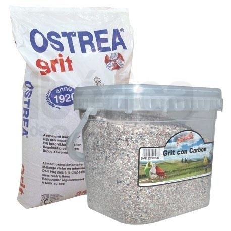 Grit Concha Blanco Disfa