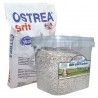 Grit Concha Blanco Disfa