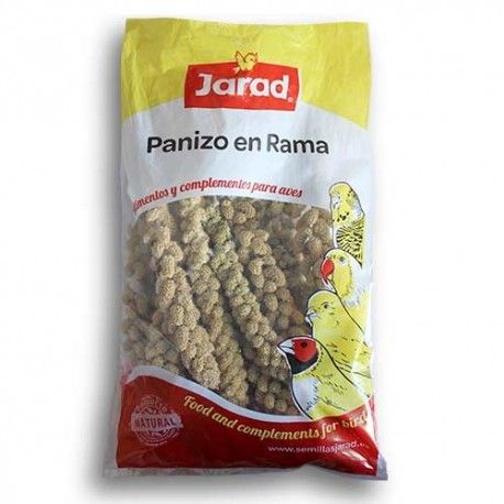 Panizo en Rama