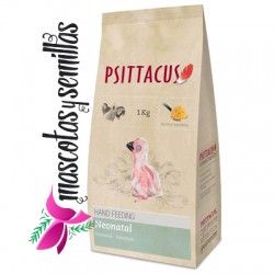 PAPILLA NEONATAL