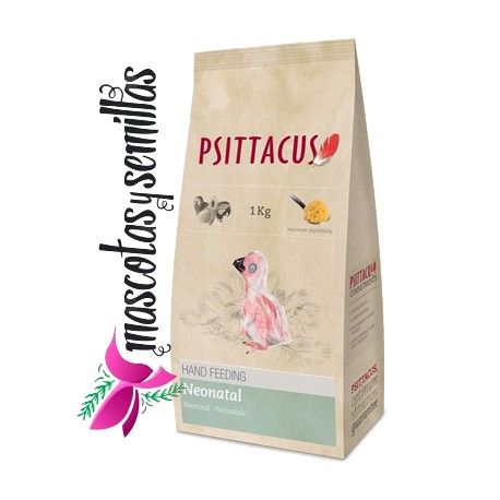 PAPILLA NEONATAL