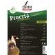 Pasta morbida pro cria silvestres verde 2kg