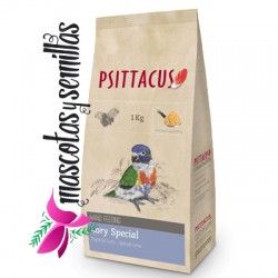 PAPILLA LORY SPECIAL