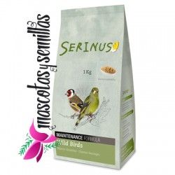 PÁJAROS SILVESTRES MANTENIMIENTO