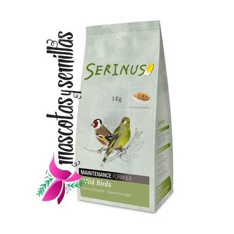 PÁJAROS SILVESTRES MANTENIMIENTO