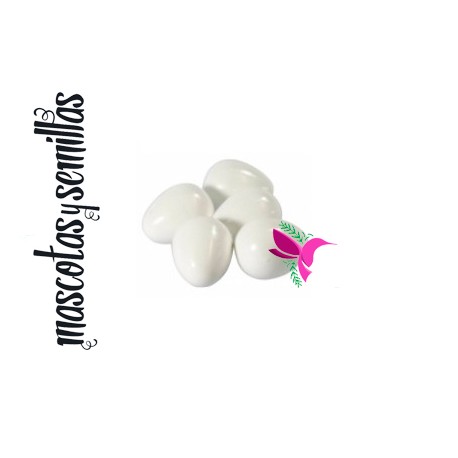 Huevo plástico agapornis (Art.304) 2Gr