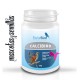 CalciBird | Calidad externa del huevo