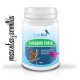 CureBird Forte | Antibacteriano natural