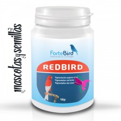 RedBird | Pigmentación pájaros rojos