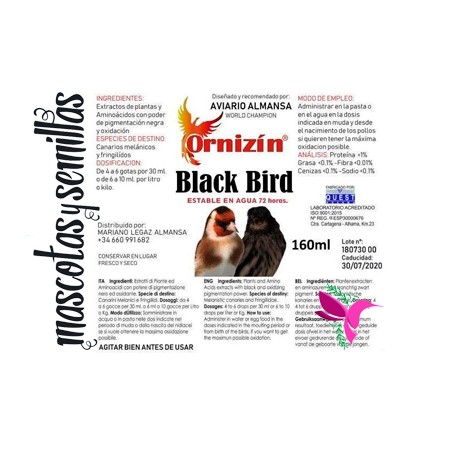 Black Bird Ornizin