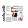 Black Bird Ornizin