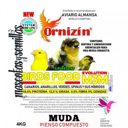 M3M Ornizin