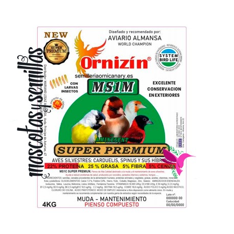 MS1M Ornizin