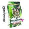 Cardelino Mayor Manitoba 2.5kg