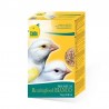 PASTA CEDE BLANCA SECA 5kg.