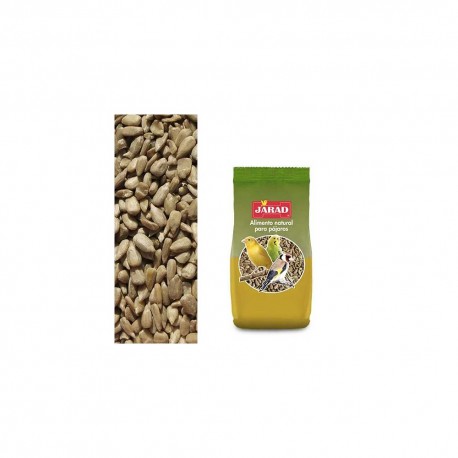 PIPA PELADA PREMIUM JARAD