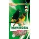 Mixtura Spinus Manitoba 800 gramos