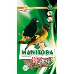 Mixtura Spinus Manitoba