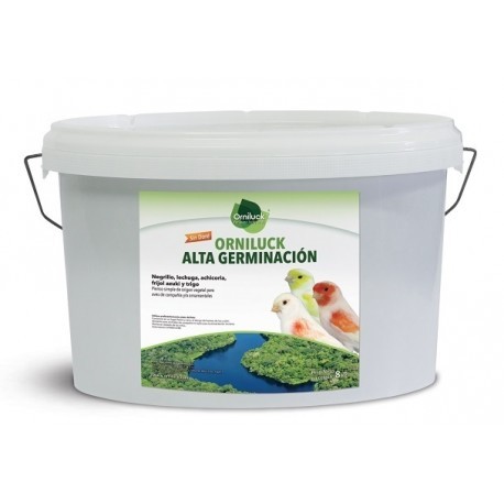 Semilla Alta Germinacion pineta 3 kg.