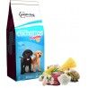 Paski Cachorro puppies 4 kilos