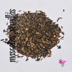 Pipa Micro Manitoba 1 kilo