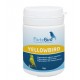 Yellowbird Fortebird