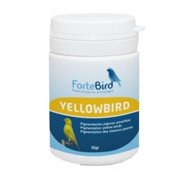 Yellowbird Fortebird