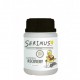 General Recovery Serinus