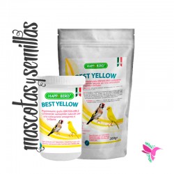 BEST YELLOW