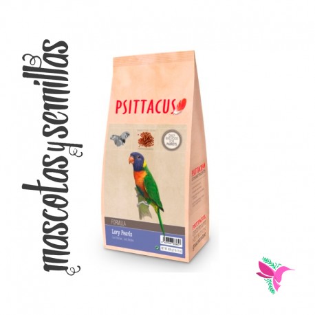 LORY PEARLS PSITTACUS