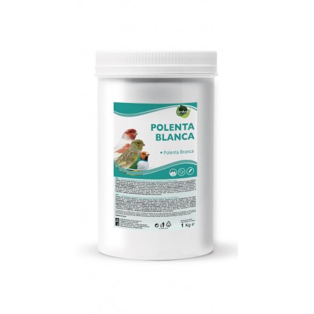POLENTA BLANCA 1KG