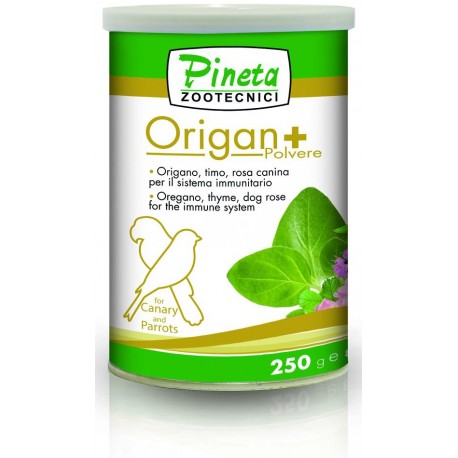 Orégano polvo 250gr (Origan+) PINETA