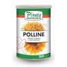 Polen de abeja 200gr (POLLINE) PINETA