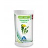 TARASSACO - DIENTE DE LEON HAPPY BIRD 100gr