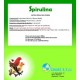 DAX - ESPIRULINA CANARIZ SOBRE
