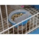 COMEDERO CHUPITO MOLDE AVES
