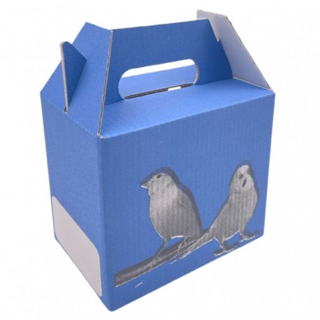 Transportin cartón pequeño