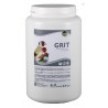 GRIT SIN CARBON 2.5KG PINETA