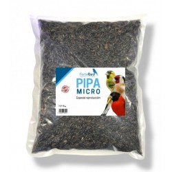 PIPA MICRO FORTEBIRD
