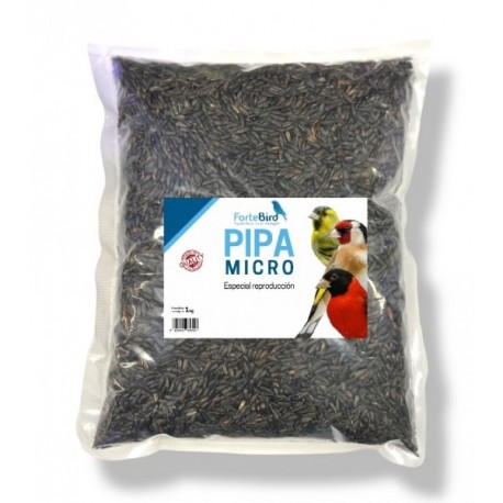 PIPA MICRO FORTEBIRD
