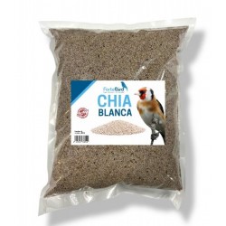 Chía blanca, con un alto contenido en proteínas de alta digestión y nueve aminoácidos esenciales.