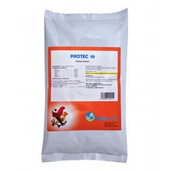 PROTEC 10 CANARIZ2