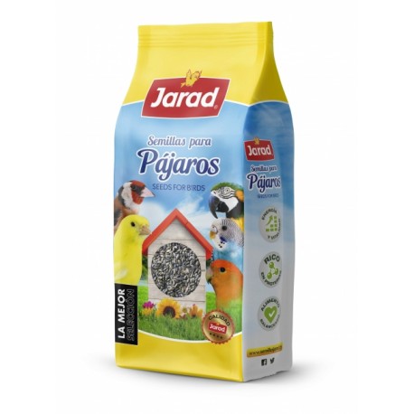 CARDO MARIANO JARAD