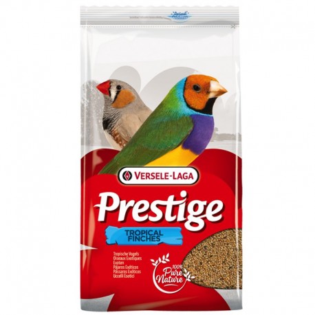 Prestige - Exoticos Stand Up