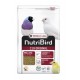 PIENSO C19 ORIGINAL  ( sin dore  Versele laga )