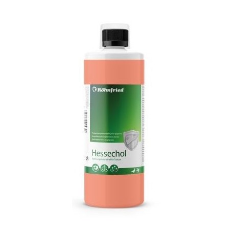 Rohnfried Sedochol