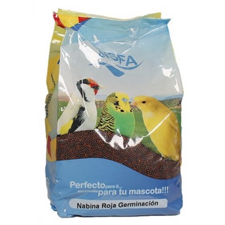 Nabina Roja Disfa Germinación