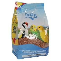 Semilla de Rabano Disfa