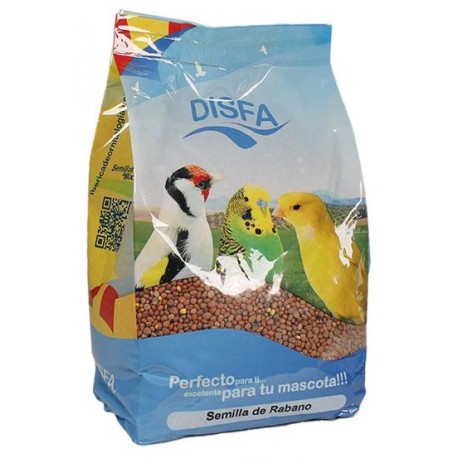 Semilla de Rabano Disfa