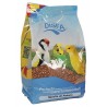 Semilla de Rabano Disfa 1 kg.